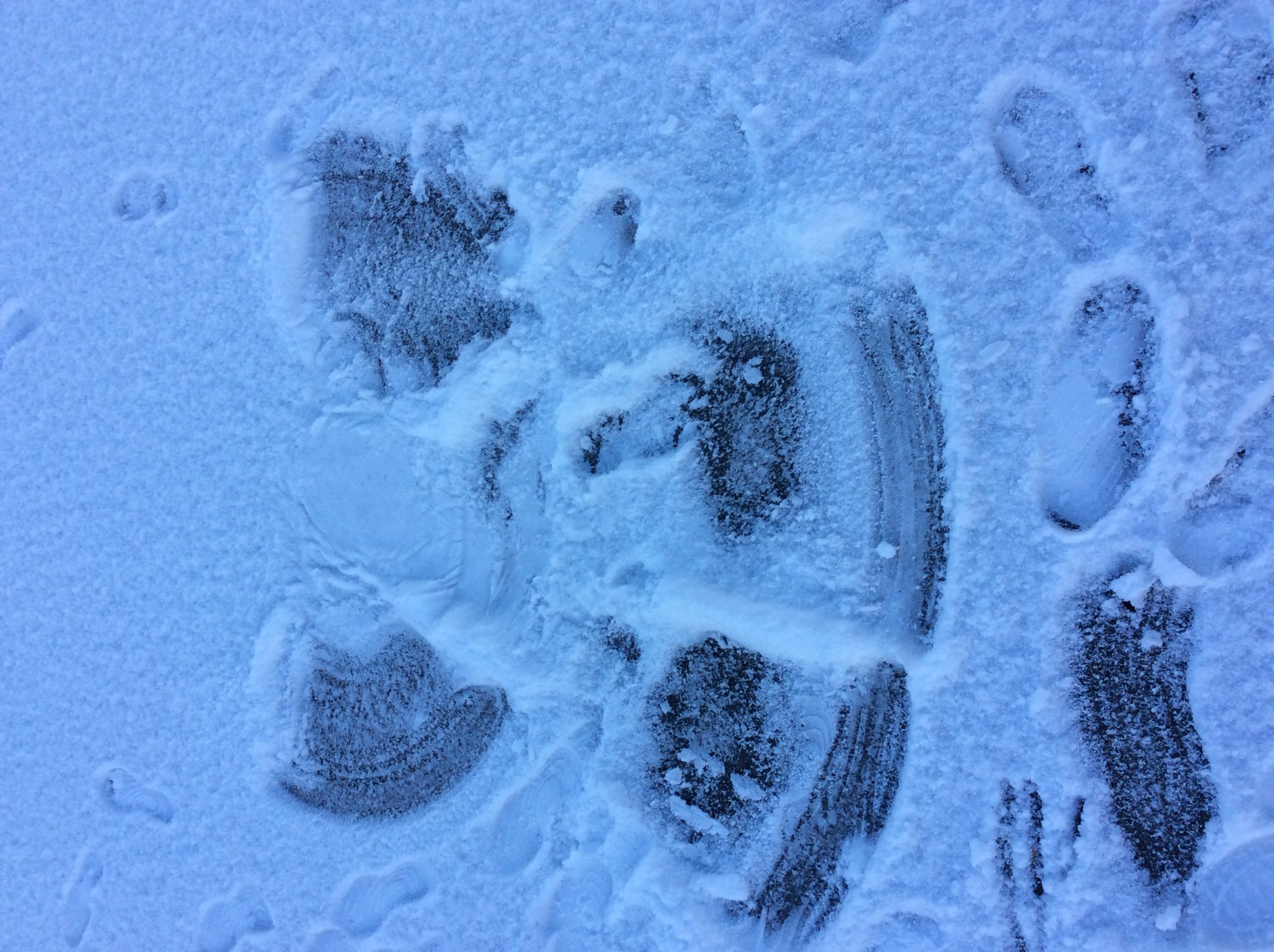 Image of Year 3 Snow Angels